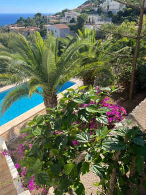Amazing view villa